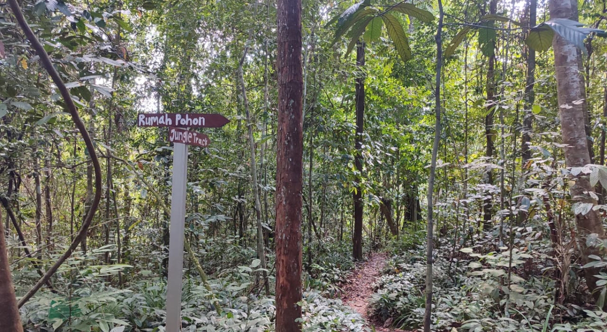 Potret Hutan Lindung Sungai Wain Balikpapan. (Nisa/KP)