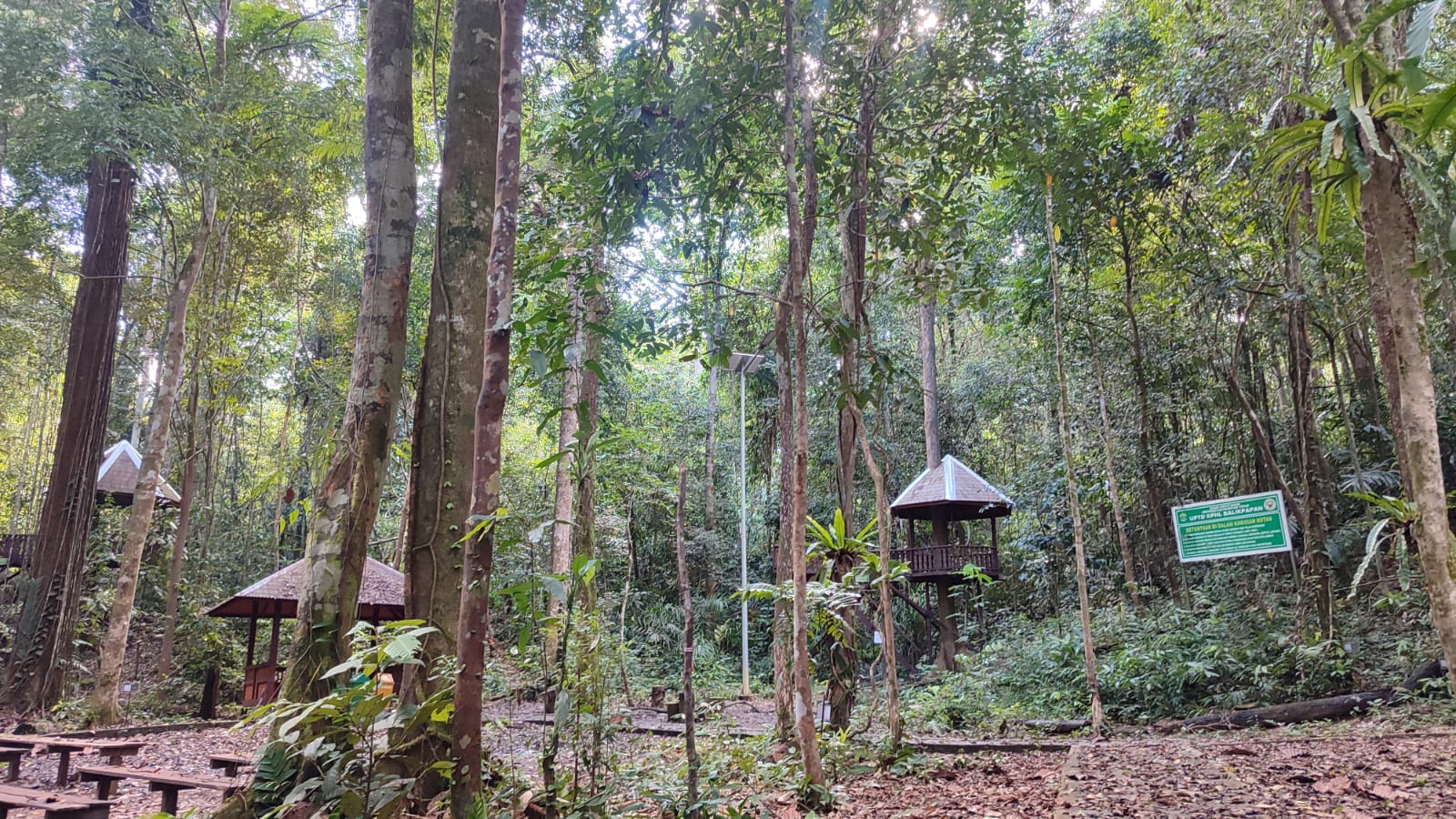 Hutan Lindung Sungai Wain di Balikpapan.