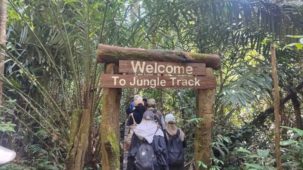 Hutan Lindung Sungai Wain.