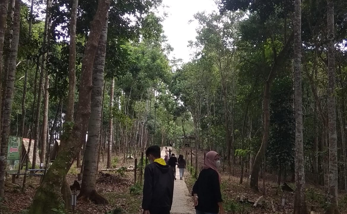 Hutan Meranti di Balikpapan.