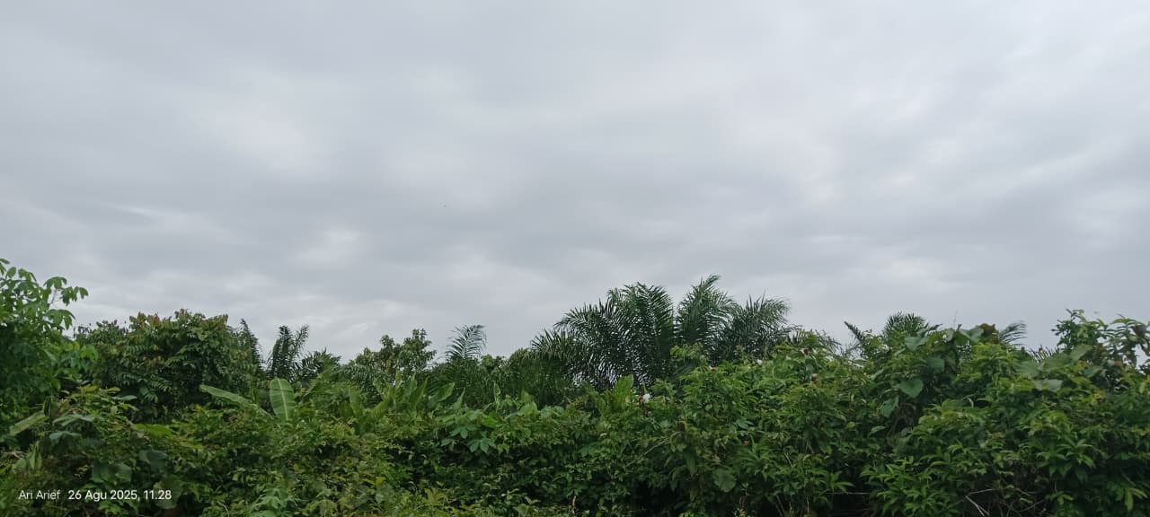 Suasana langit di atas Penajam Paser Utara selama sepekan hingga akhir Agustus ini diperkirakan oleh BMKG mendung tebal.