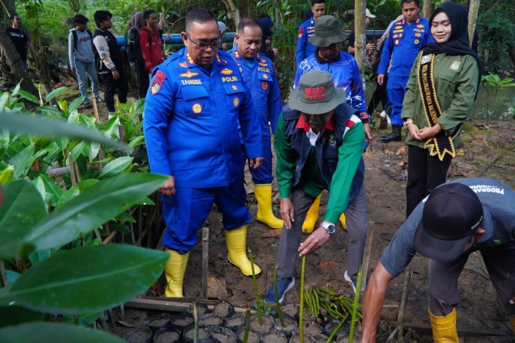 Penanaman mangrove di kawasan pesisir dilakukan Ditpolairud Polda Kaltim bersama mahasiswa, pelajar, relawan, dan komunitas.