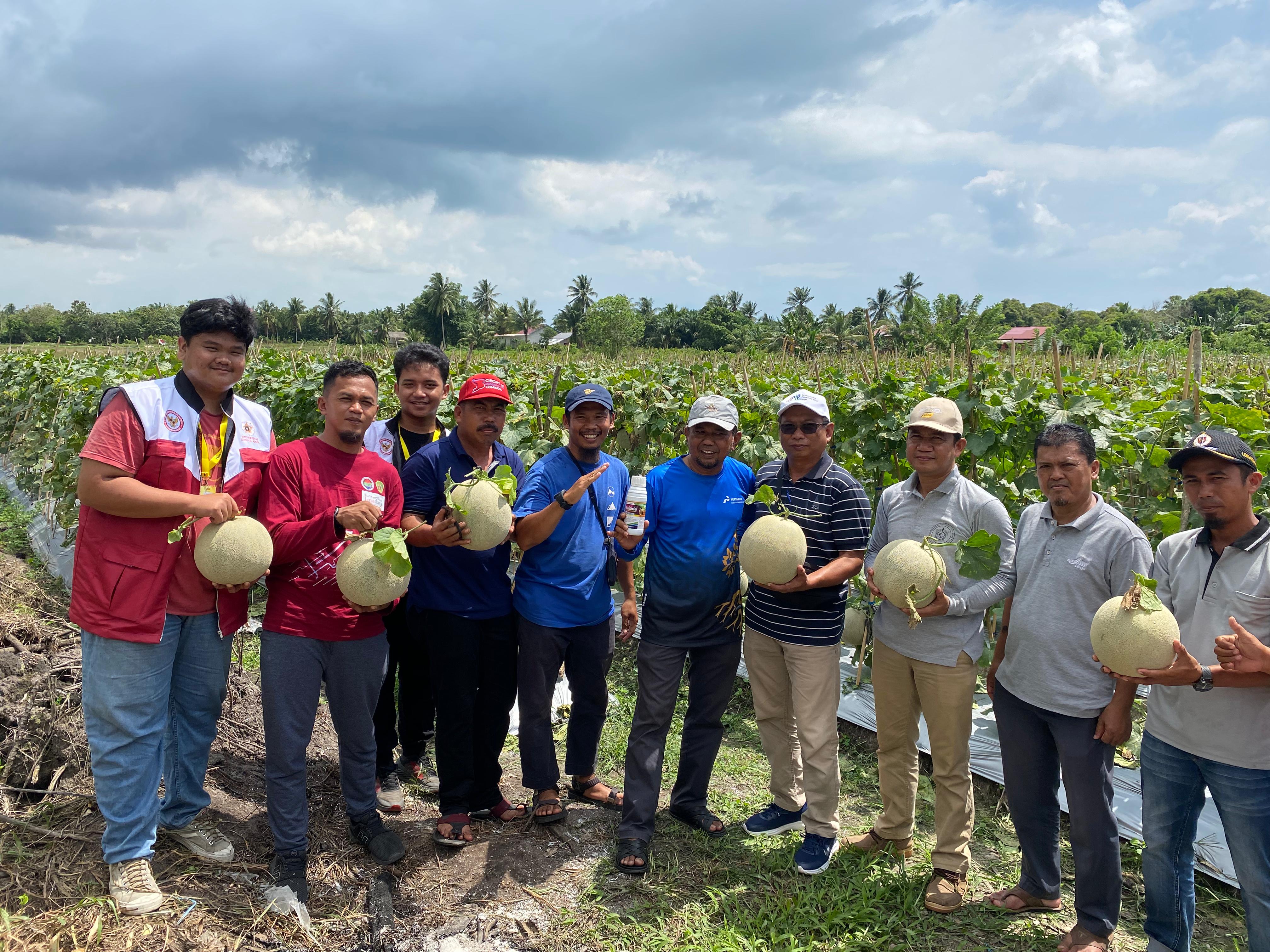 KOLABORASI: Hajral Aswatama (keempat kiri) bersama Mantan Bupati PPU Hamdan, Kepala Dinas Pertanian, mahasiswa Universitas Gajah Mada dan pemerintah Desa Sesulu memanen melon di kebunnya.