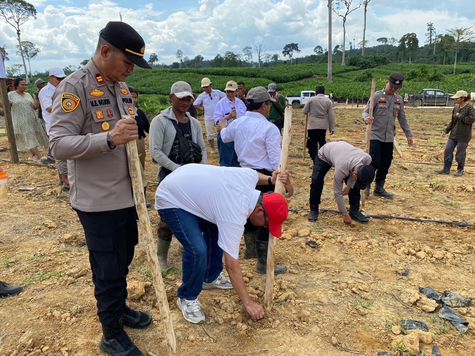 Penanaman jagung serentak tahap satu di wilayah Polsek Bentian Besar