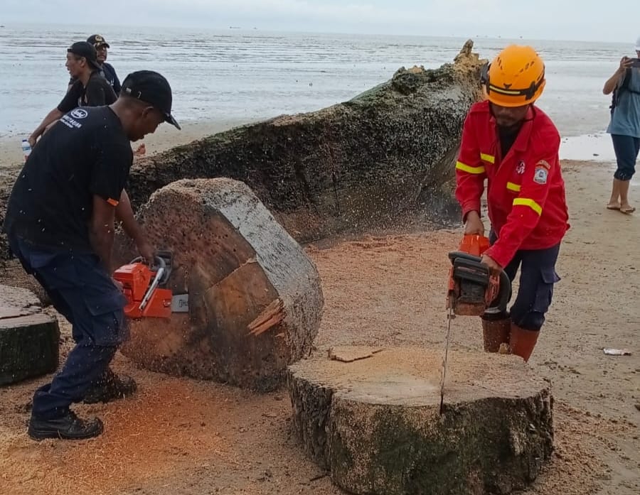 EVAKUASI: Petugas gabungan bersama warga pesisir Kelurahan Damai Bahagia mengevakuasi batang pohon besar ke tepi pantai.