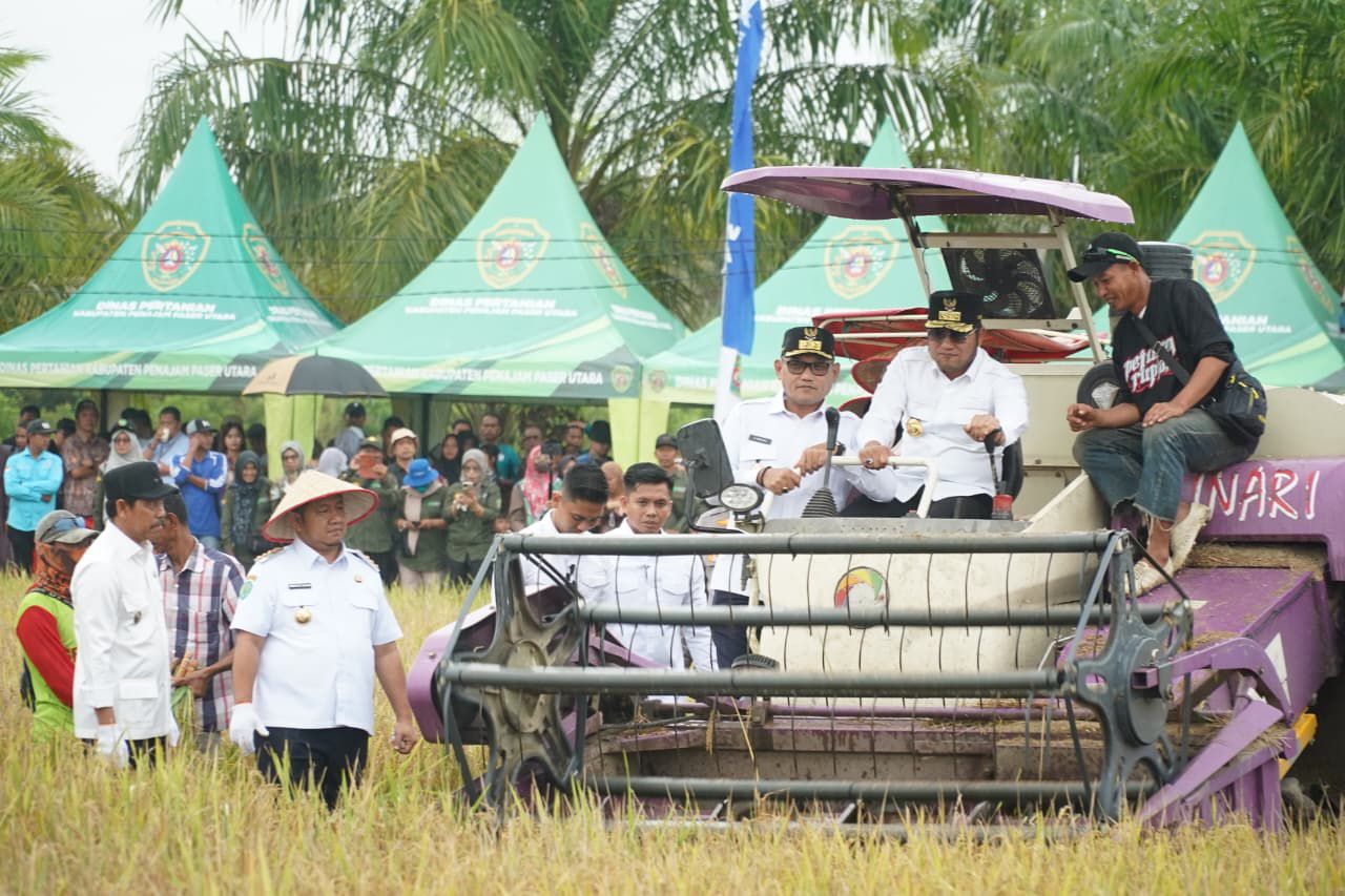 PANEN RAYA: Gubernur Kaltim, Rudy Mas&rsquo;ud dan Wakil Gubernur Kaltim, Seno Aji, saat panen raya padi di Kelurahan Waru, PPU.