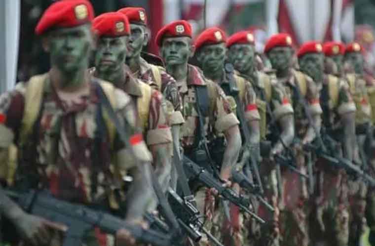 Ilustrasi prajurit TNI.