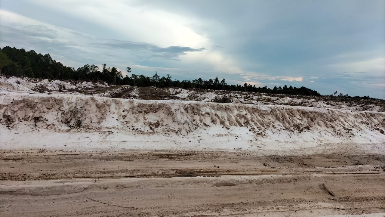 Salah satu titik lahan di Kutai Kartanegara yang direncanakan  sebagai lokasi tambang pasir silika di wilayah Kaltim. (NASYA/KP)