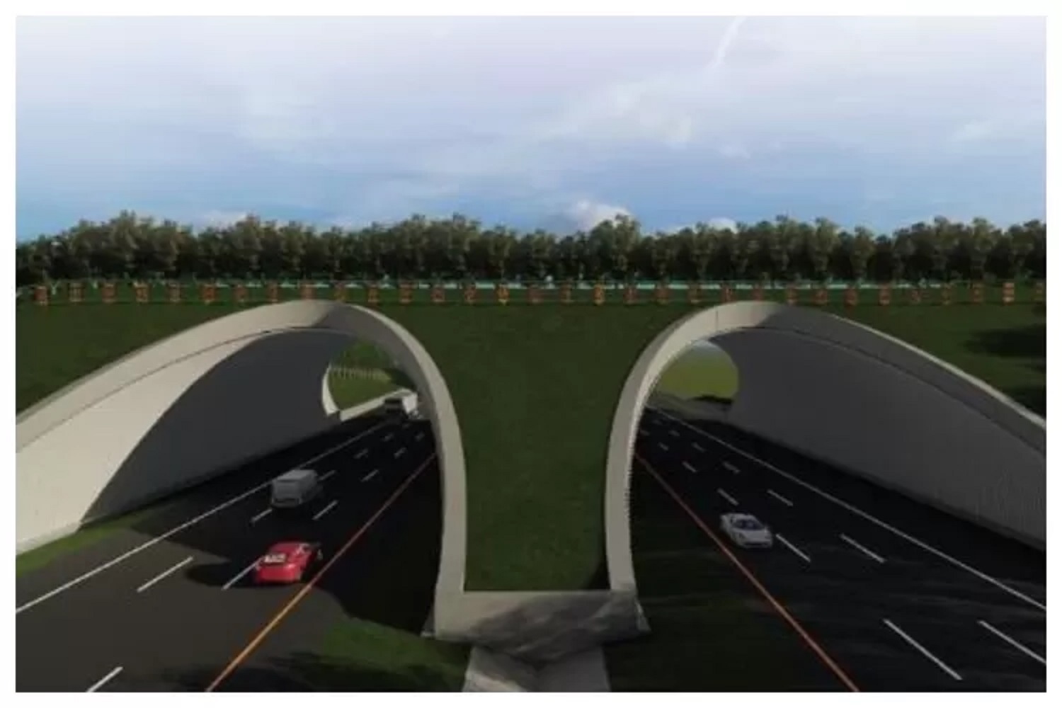 Jembatan satwa di IKN