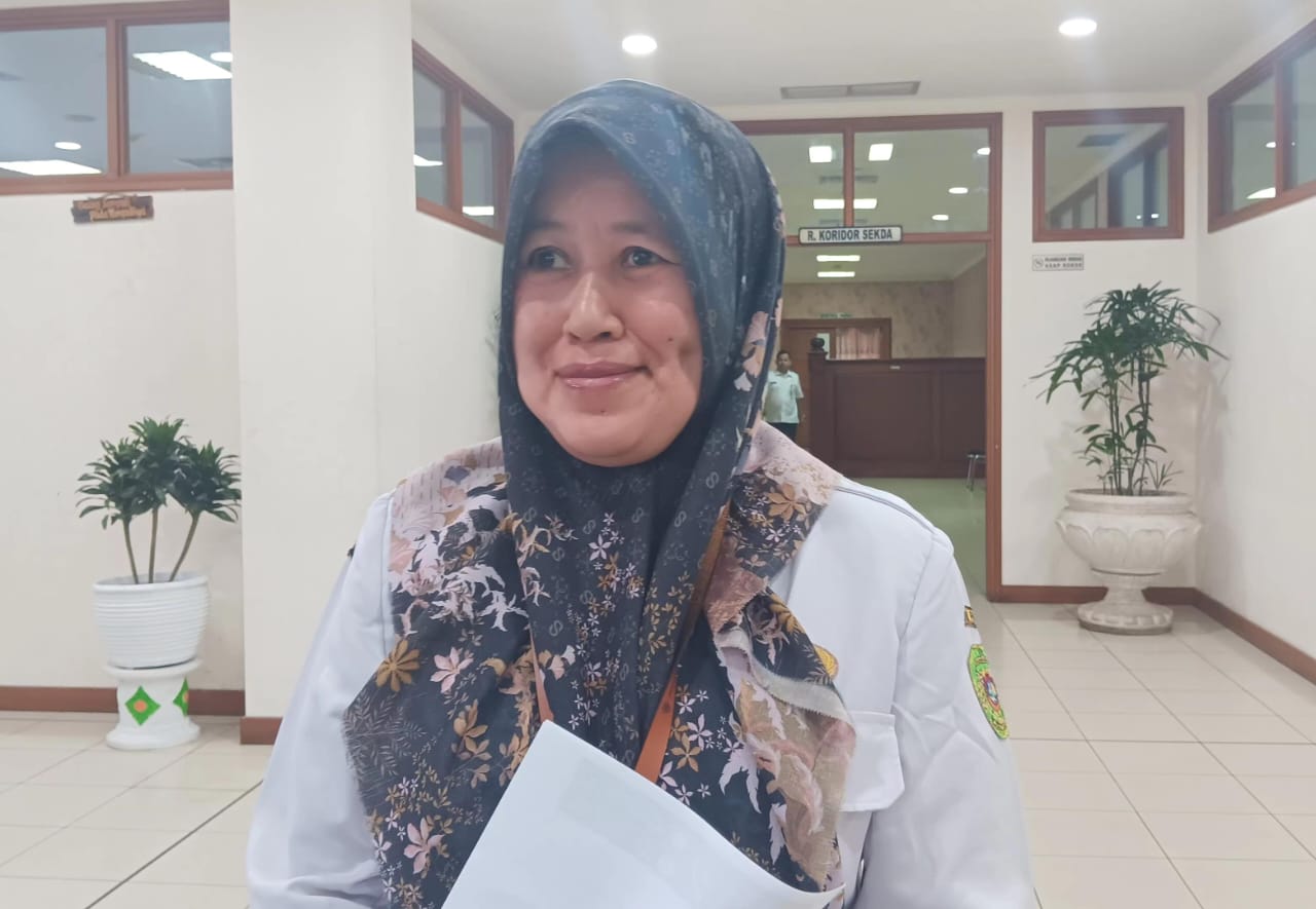Kepala DPMPTS PPU, Nurlaila.