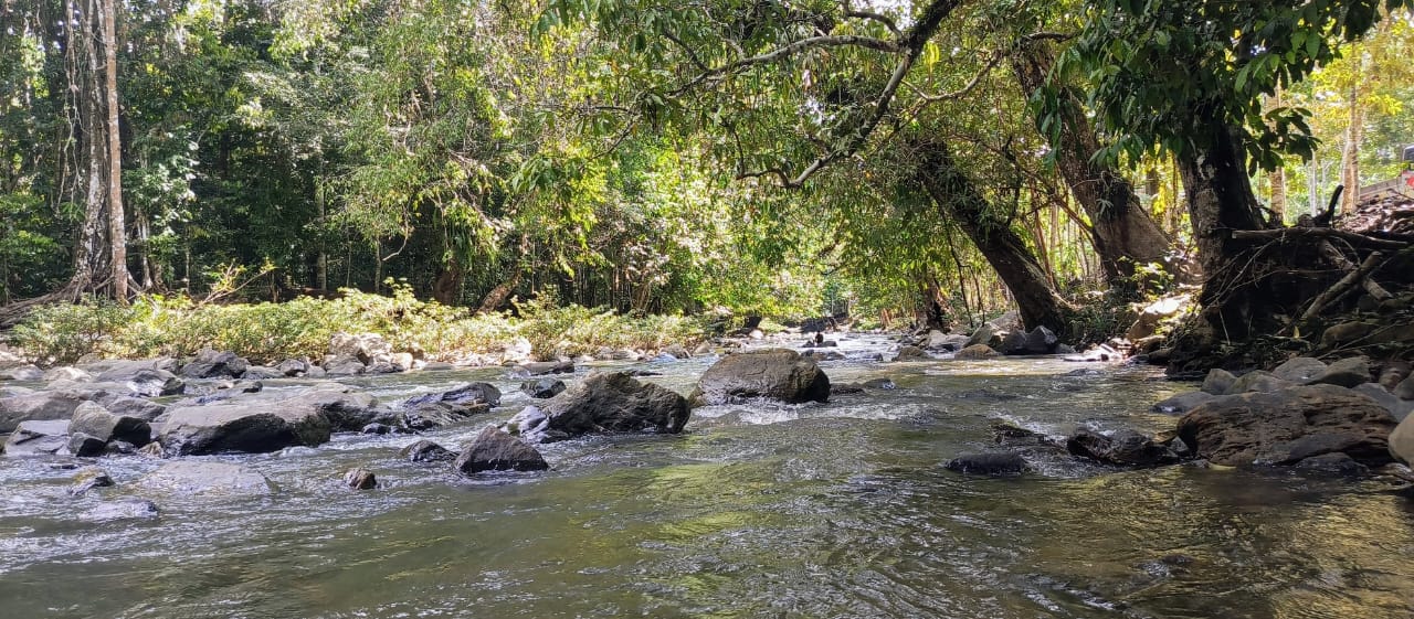MASIH ALAMI: Bumi Perkemahan Batuq Bura, pengunjung dimanja pemandangan sungai dan belantara hutan tropis.