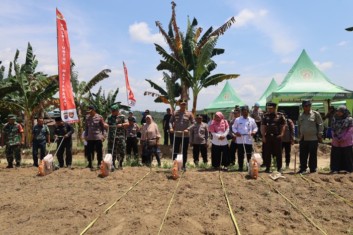 TANAM JAGUNG: Polres PPU, TNI dan Forkopimda PPU tanam jagung kuartal IV 2025 sebagai bentuk dukungan kepada ketahanan pangan nasional.