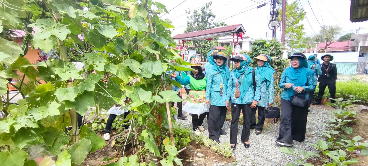 Tim Verifikasi TP PKK Provinsi Kaltim melihat kondisi lingkungan di Kampung Berseri dari pemanfaatan lahan kosong dikawasan tersebut.