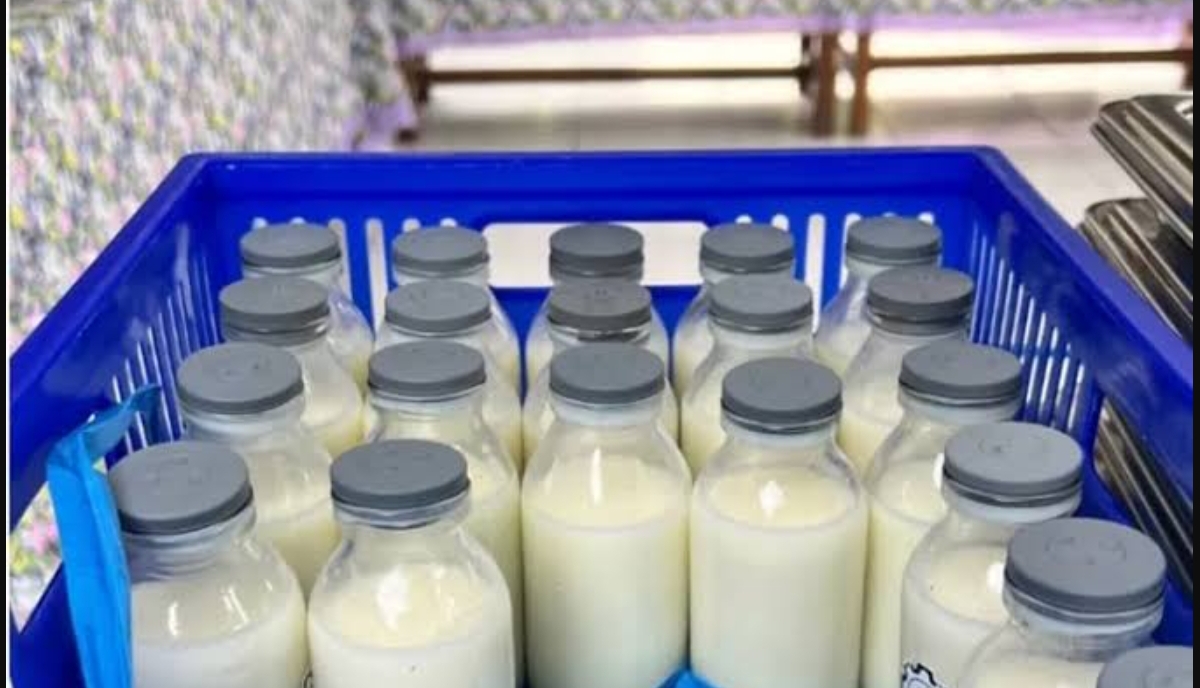 Botol berisi susu kemasan program Makan Bergizi Gratis (MBG) yang dibagikan untuk peserta didik di sejumlah sekolah. (FOTO: IST)