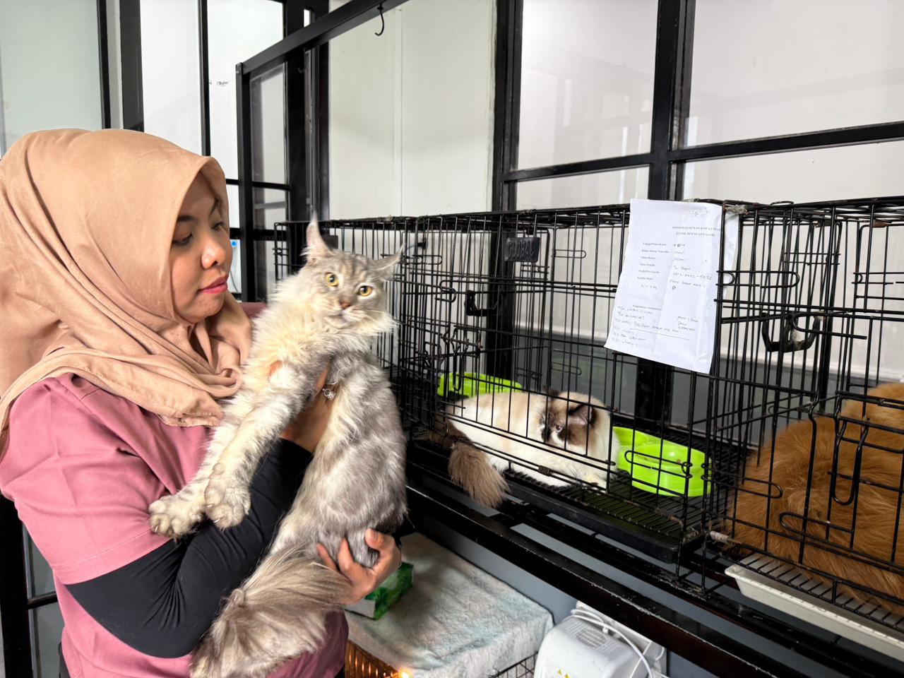 KOMITMEN: Menurut drh Intan, rendahnya komitmen memelihara hewan dipicu oleh dua hal. Yakni kurang edukasi dan ketidaksiapan finansial.