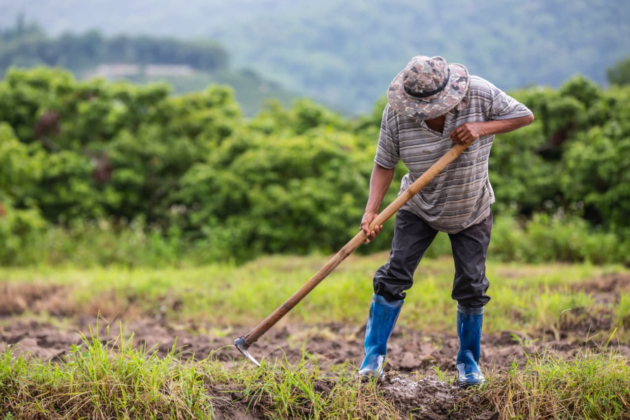 Meningkatkan harga jual dan menurunnya biaya yang harus dikeluarkan petani jadi sinyal positif bagi kesejahteraan petani di Kaltim.