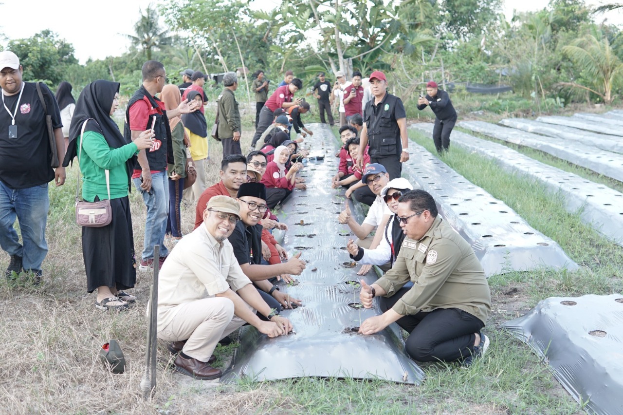 Para peserta sarasehan dari unsur pemerintah, akademisi, dan petani menanam padi secara simbolis di lahan percontohan pertanian di Muara Jawa.