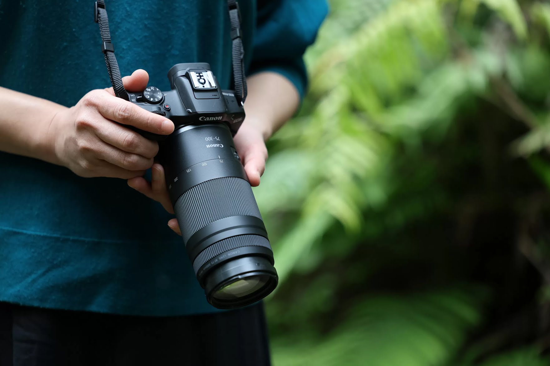 Ilustrasi fotografer pemula.