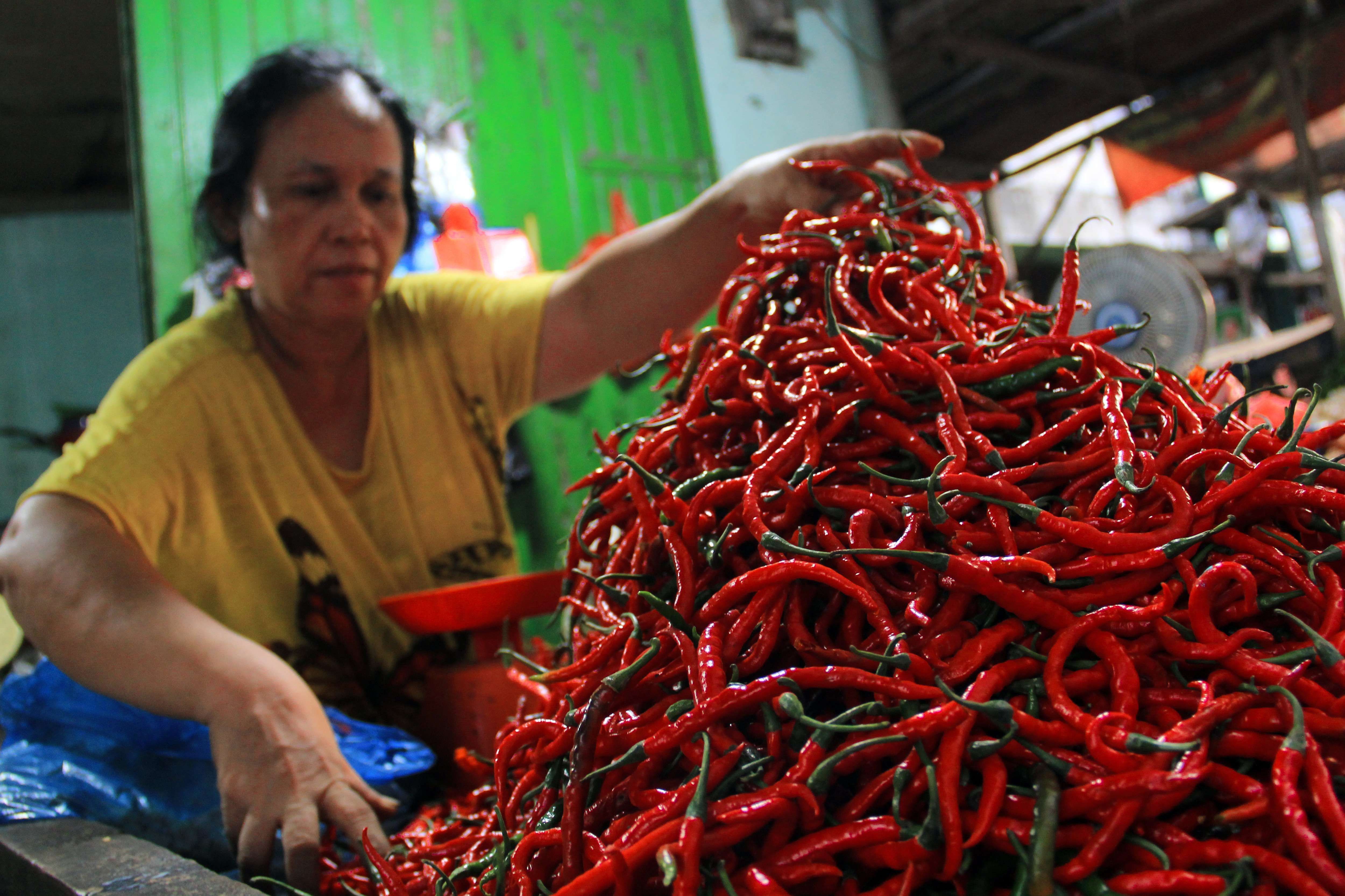 Harga cabai merah besar di PPU saat ini turun harga sebesar 27 persen.