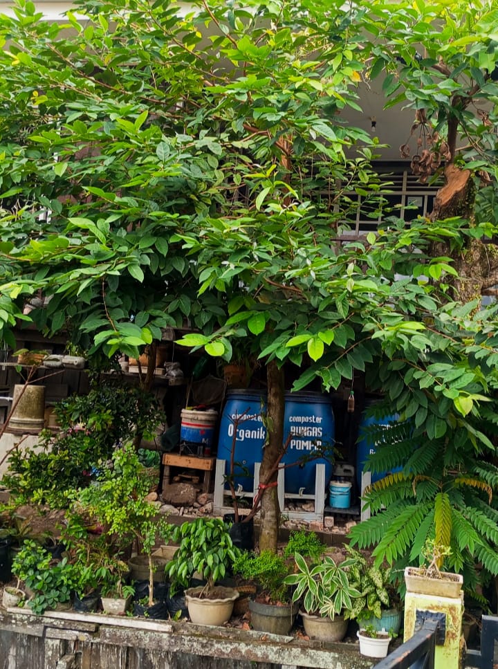 Kawasan RT 66 Kampung Bungas terdapat akvitas pengelolaan sampah berupa pendauran ulang hingga pembuatan pupuk organik.