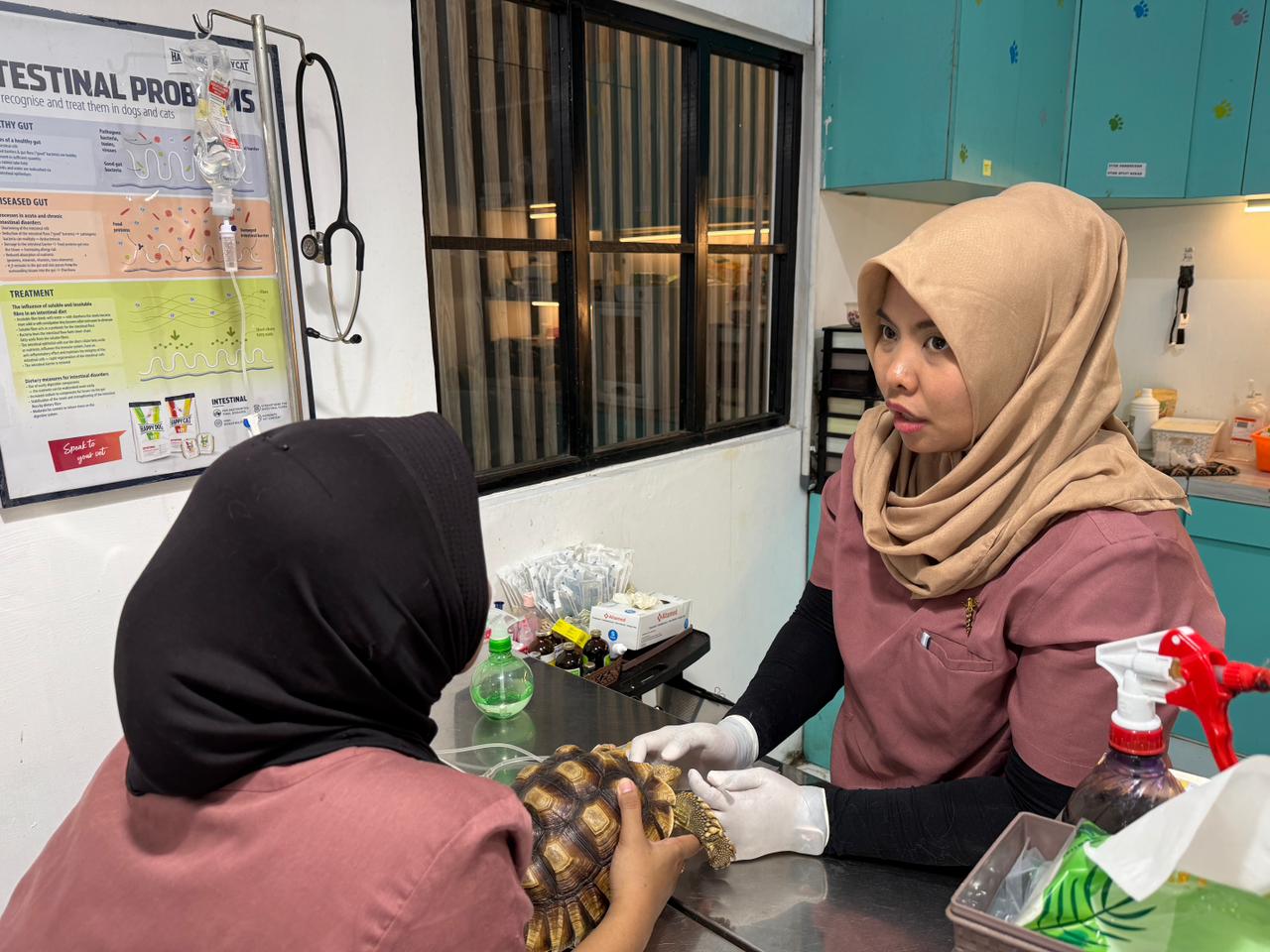 ILMU: Bagi drh Intan, semua pasien adalah ilmu. Datang dengan kasus berbeda, serta membuatnya selalu terus belajar.