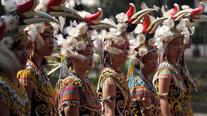 Ilustrasi perempuan Dayak
