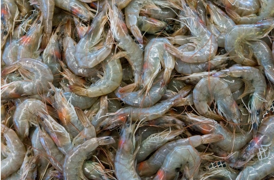 DPR desak Kemenperin soal keamanan udang beku di pasar lokal. (Unsplash/Etienne Girardet)