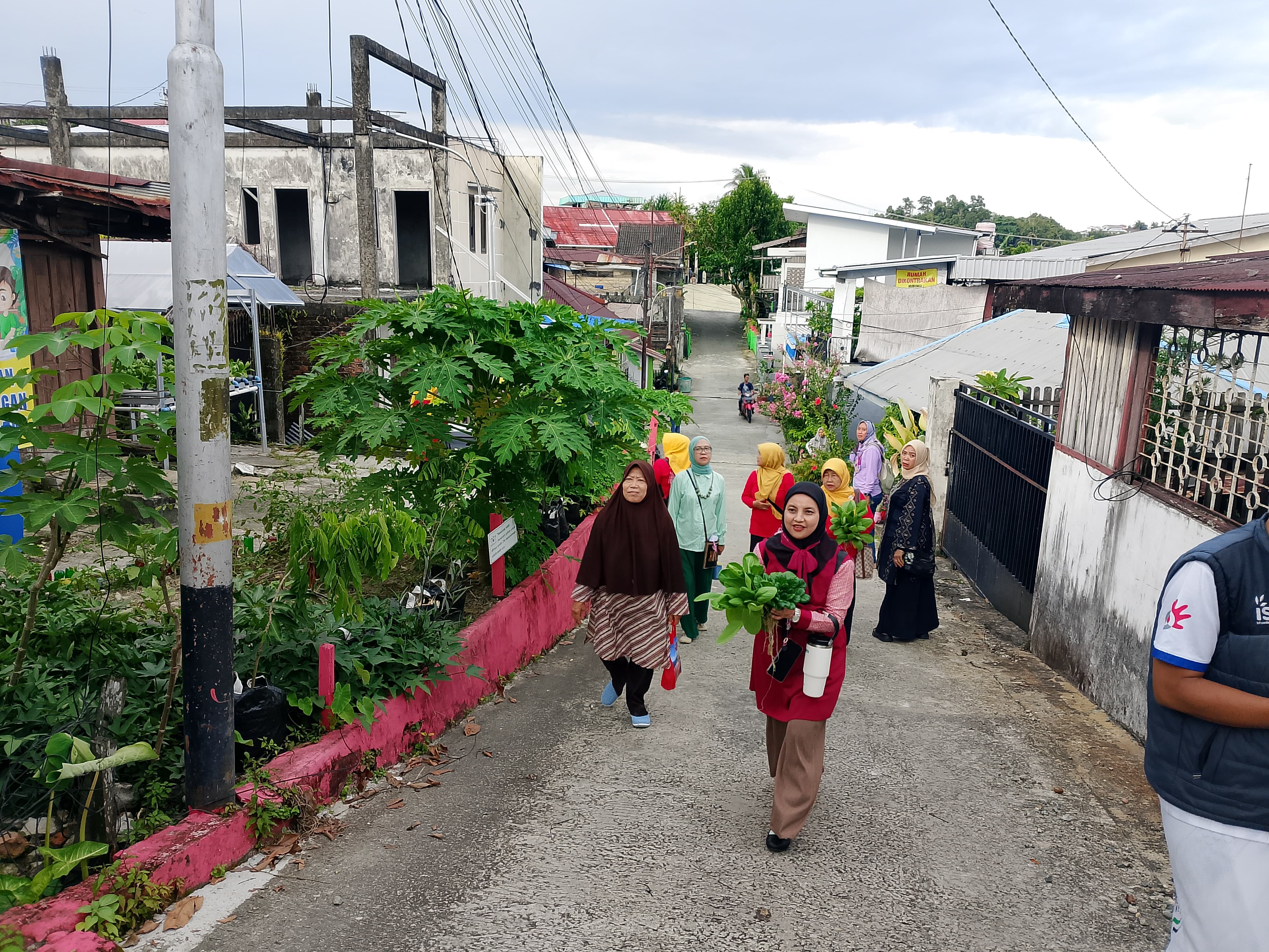 Ketua TP PKK Kecamatan Balikpapan Tengah (depan) berkesempatan melakukan panen hidroponik.