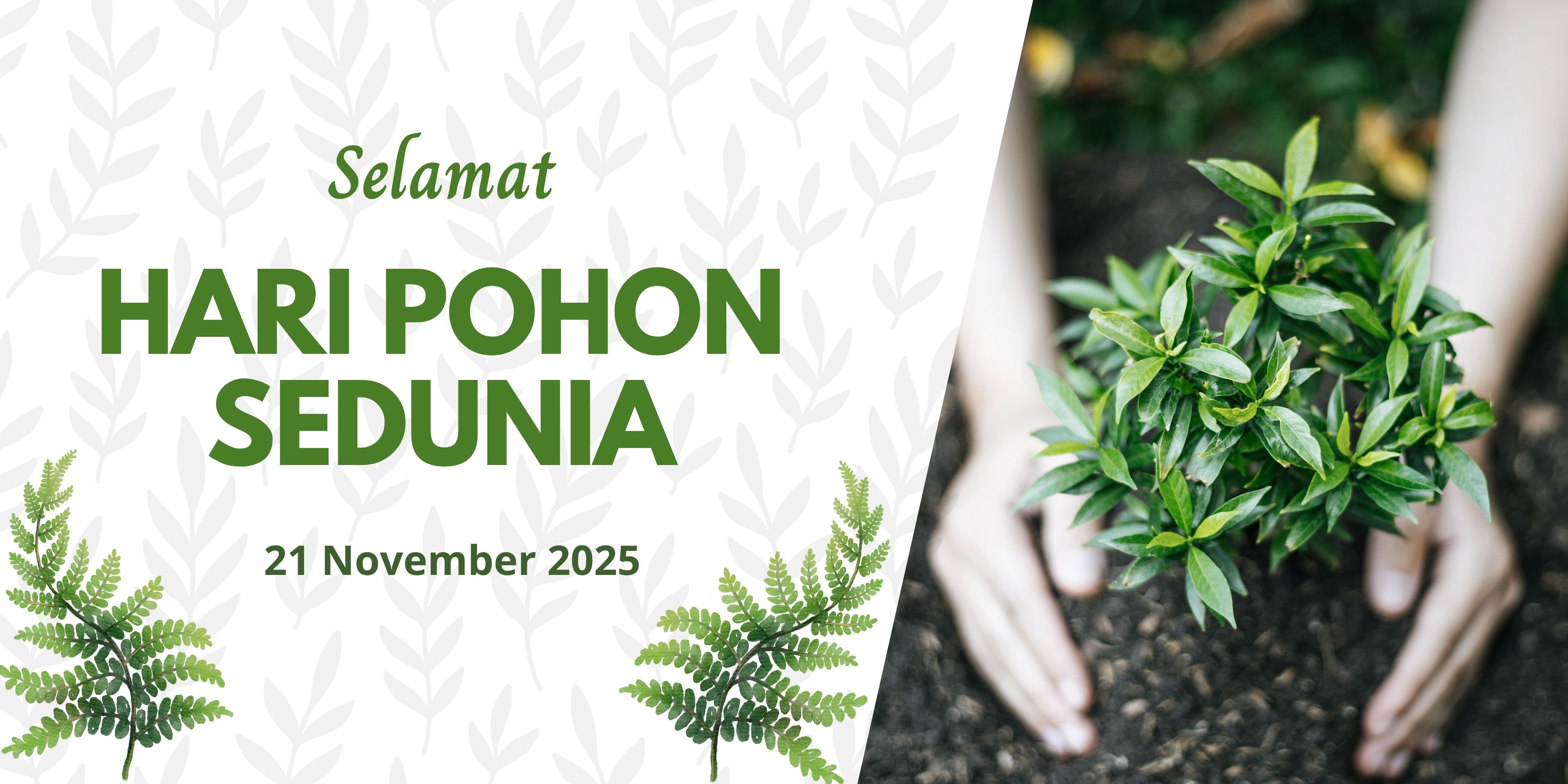 Ucapan Hari Pohon Sedunia 2025.