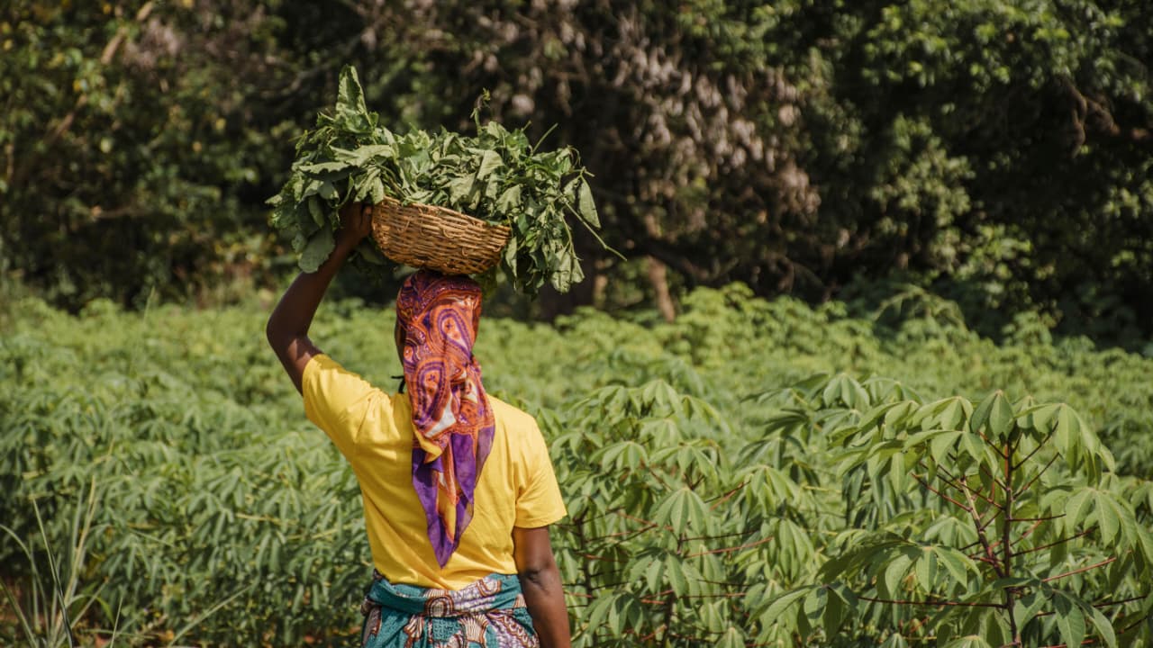 KENAIKAN HARGA: Indeks harga yang diterima petani (It) naik. Merupakan nilai produksi yang dijual petani dari tiap jenis barang hasil pertanian.