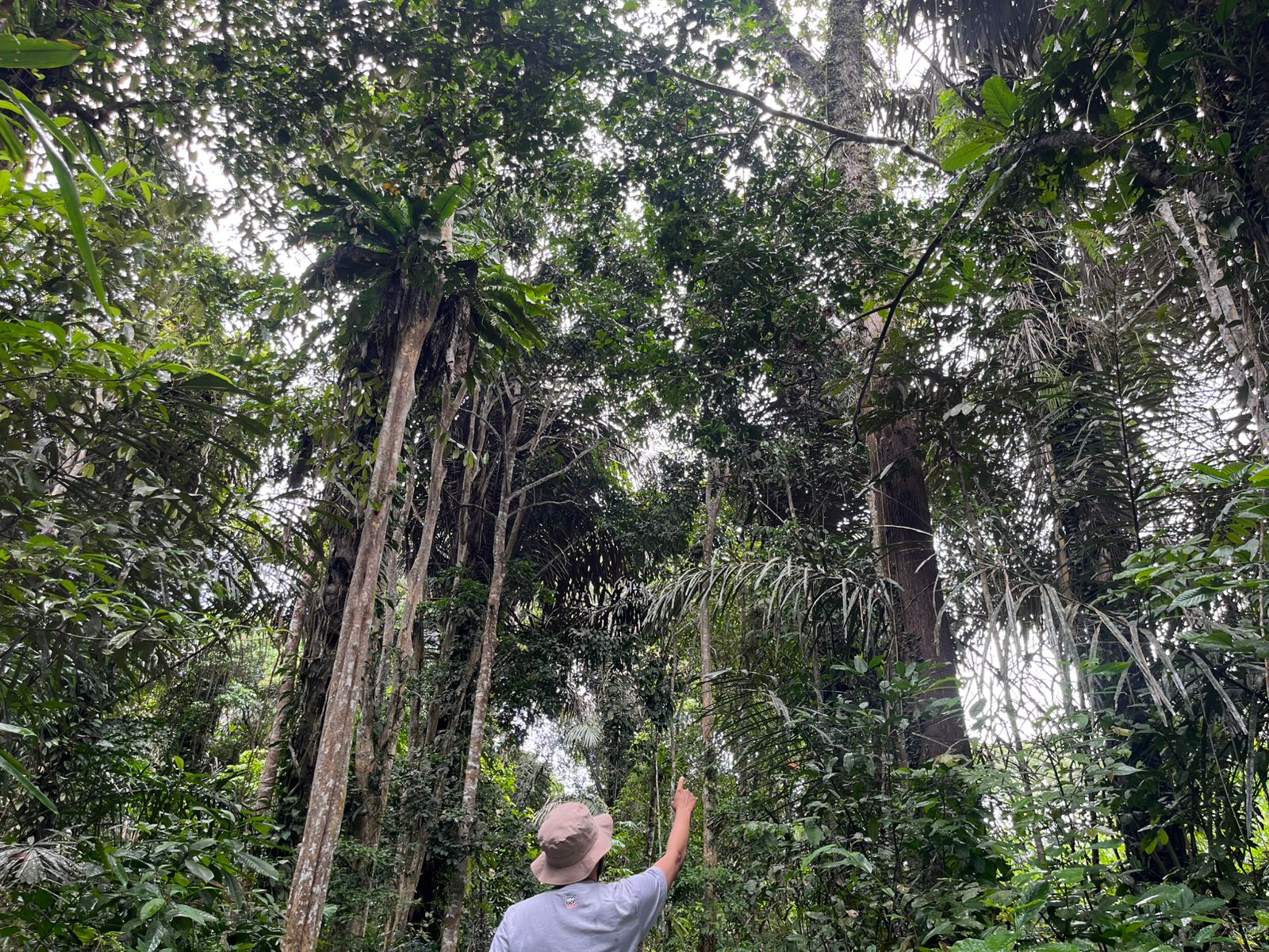 MENYEMPIT: Pemerintah desa Kedang Ipil berencana menetapkan 500 hingga 1.000 hektare sebagai hutan larangan atau zona terbatas untuk pelestarian budaya dan ekologi.