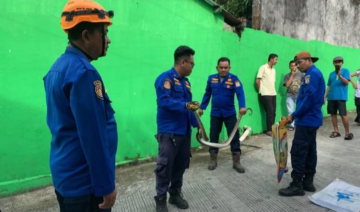 HEWAN LIAR. Adanya hewan liar jenis ular masuk di rumah warga, petugas BPBD Balikpapan melakukan evakuasi.