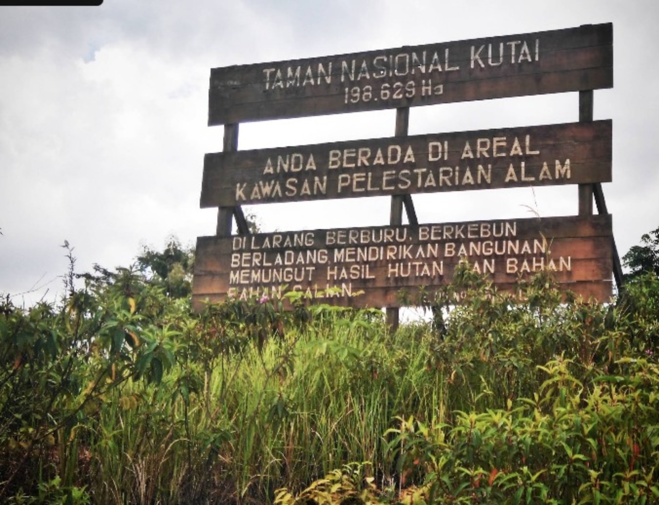 Taman Nasional Kutai di Kabupaten Kutai Timur, Kaltim.