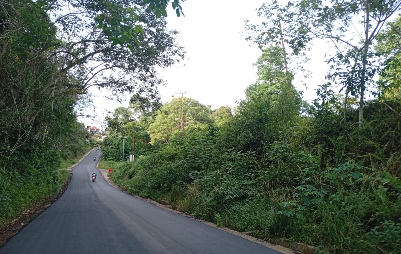 MULUS: Jalan eks pertanian Kubar kini sudah mulus dan bebas lubang.