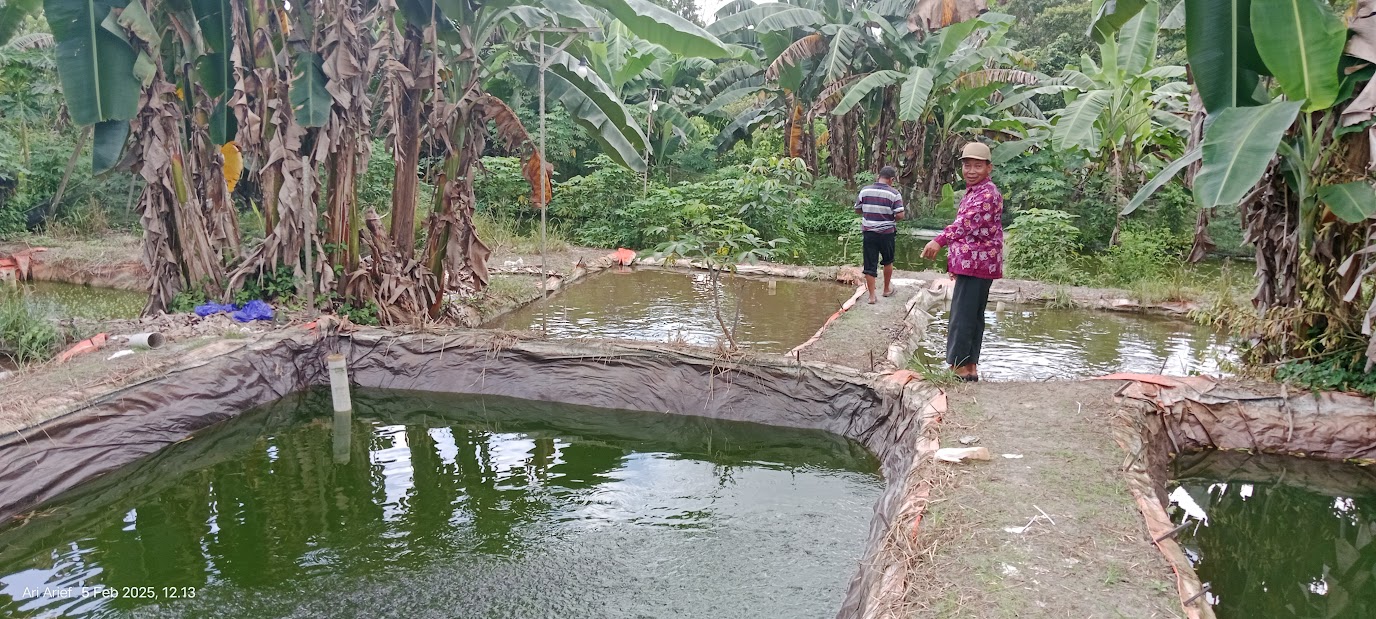 ROB: Tambak yang berada di wilayah pesisir diingatkan adanya banjir rob akibat gelombang laut tinggi.
