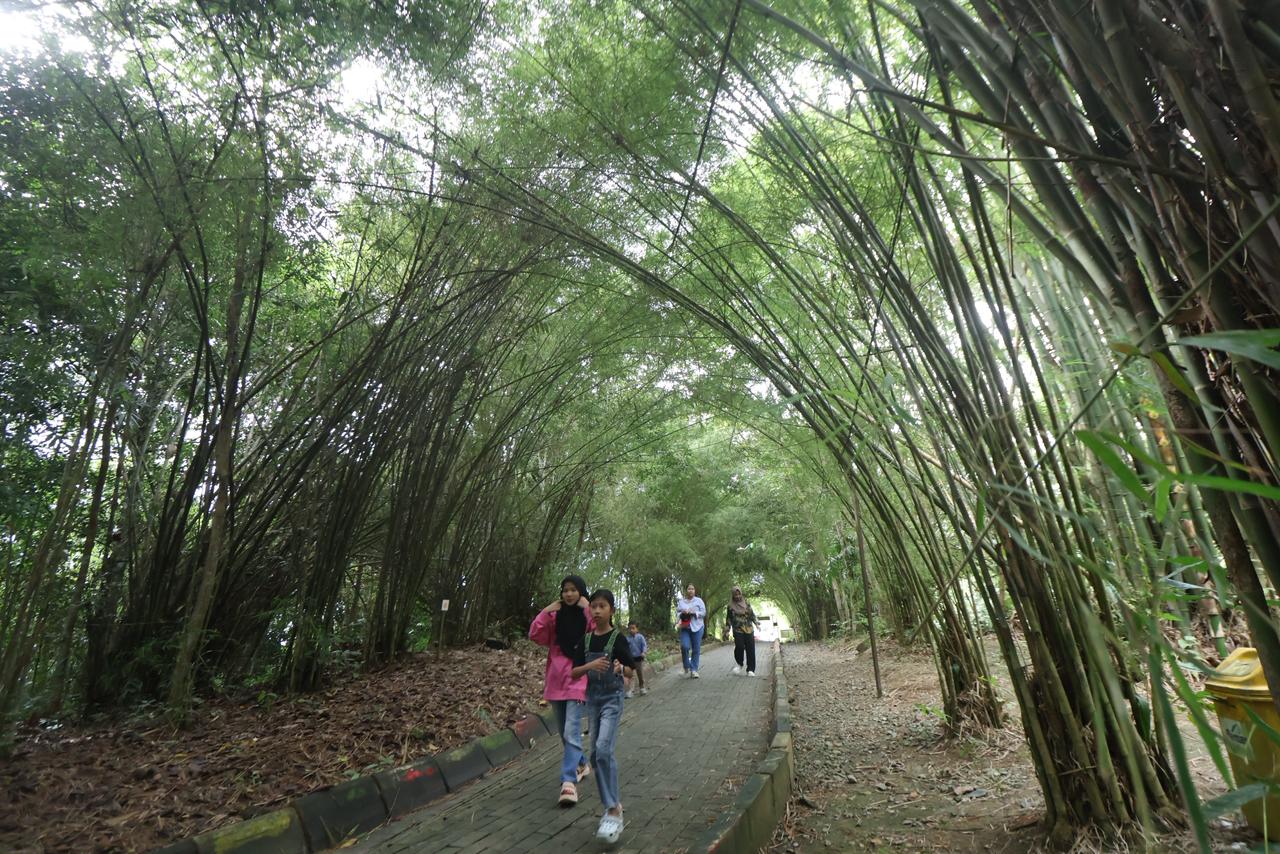 Ekowisata Bamboe Wanadesa