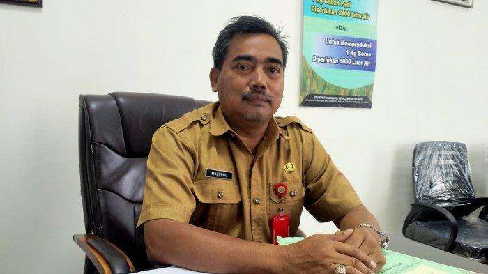 Kepala Dinas Ketahanan Pangan PPU, Mulyono.