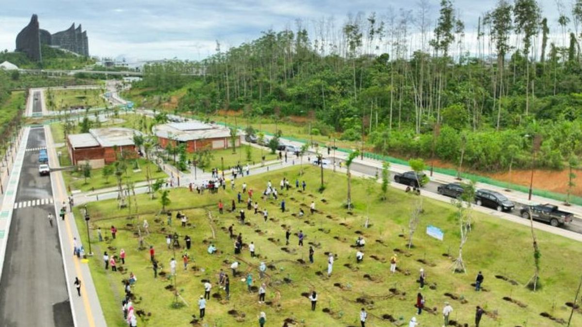 Pohon-pohon ditanam di wilayah area IKN.