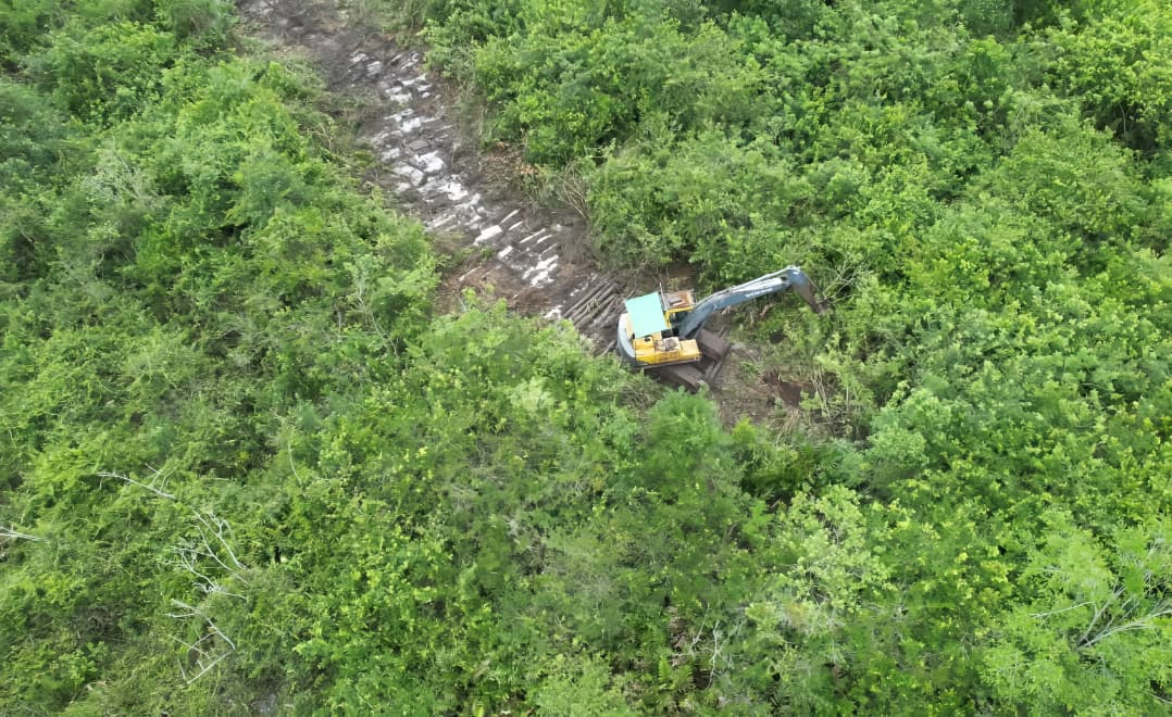 Ekskavator membabat mangrove di kawasan TNK, Kutim. (FOTO BALAI TNK)