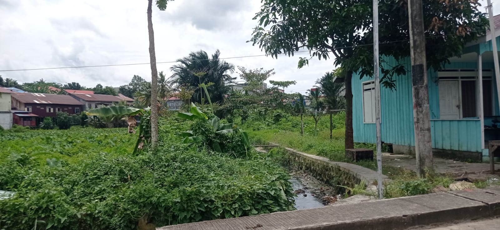 Area yang akan dijadikan Polder Tanjung Laut masuk dalam pembangunan yang dipasok dari Bankeu Pemprov Kaltim tahun ini.