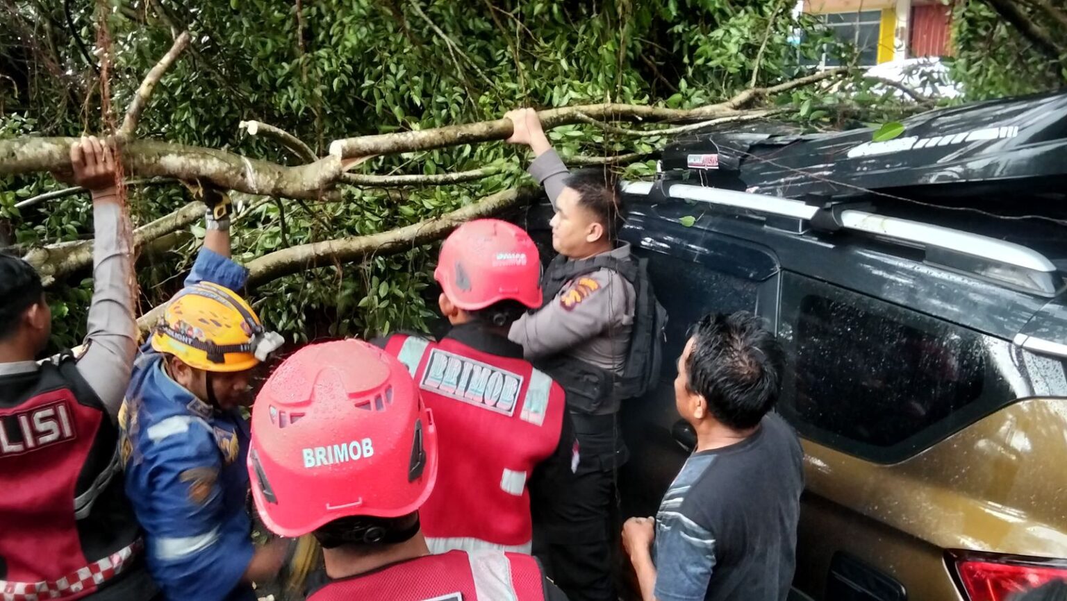 PROSES EVAKUASI: Petugas dan warga berupaya mengevakuasi pohon tumbang yang menimpa mobil warga setempat.