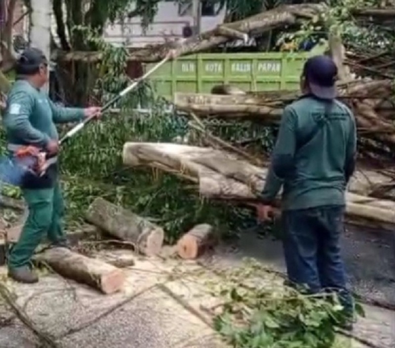 EVAKUASI: Warga dan personel gabungan melakukan evakuasi pohon tumbang yang sempat menutup akses jalan.