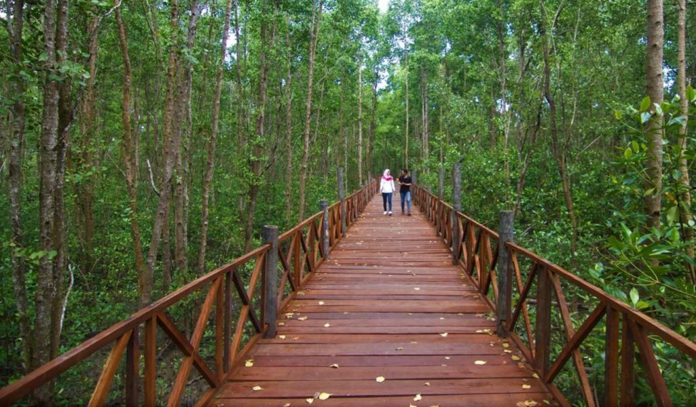 FASILITAS: Pemerintah daerah berencana meningkatkan fasilitas ekowisata mangrove Penajam, berupa memperpanjang titian sampai ke pinggir laut.