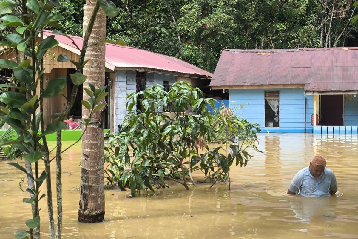 TERJANG: Banjir menerjang kawasan IKN, yaitu Kelurahan Mentawir di Kecamatan Sepaku, PPU.