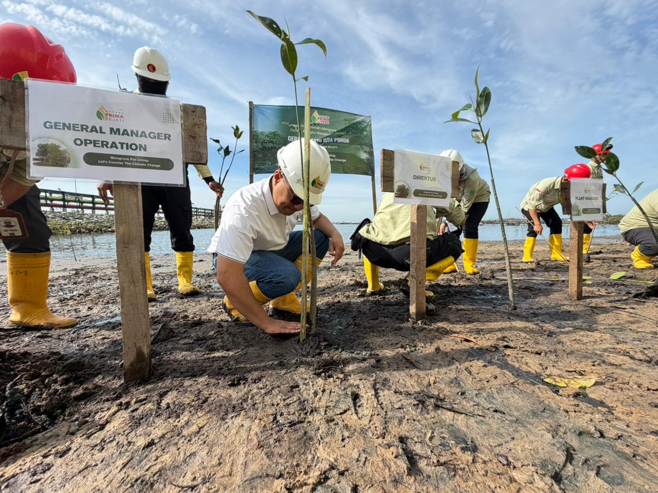 PEDULI LINGKUNGAN: Direktur PT Wahana Prima Sejati Ramzi Sastra memimpin penanaman mangrove di sempadan Pantai Kelurahan Kariangau, Selasa (13/1)