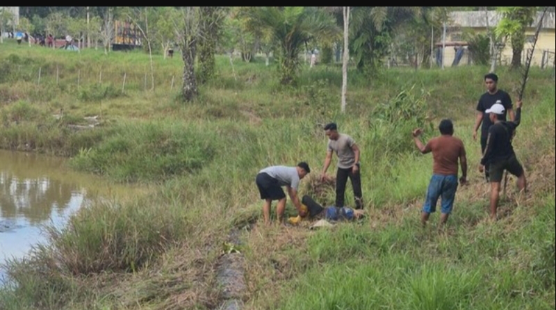 Warga bersama personel kepolisian mengevakuasi seorang perempuan paruh baya yang menjadi korban serangan buaya di Waduk Persemaian, Tarakan Barat, Kalimantan Utara, Senin (19/1/2026).  (Foto Polresta)