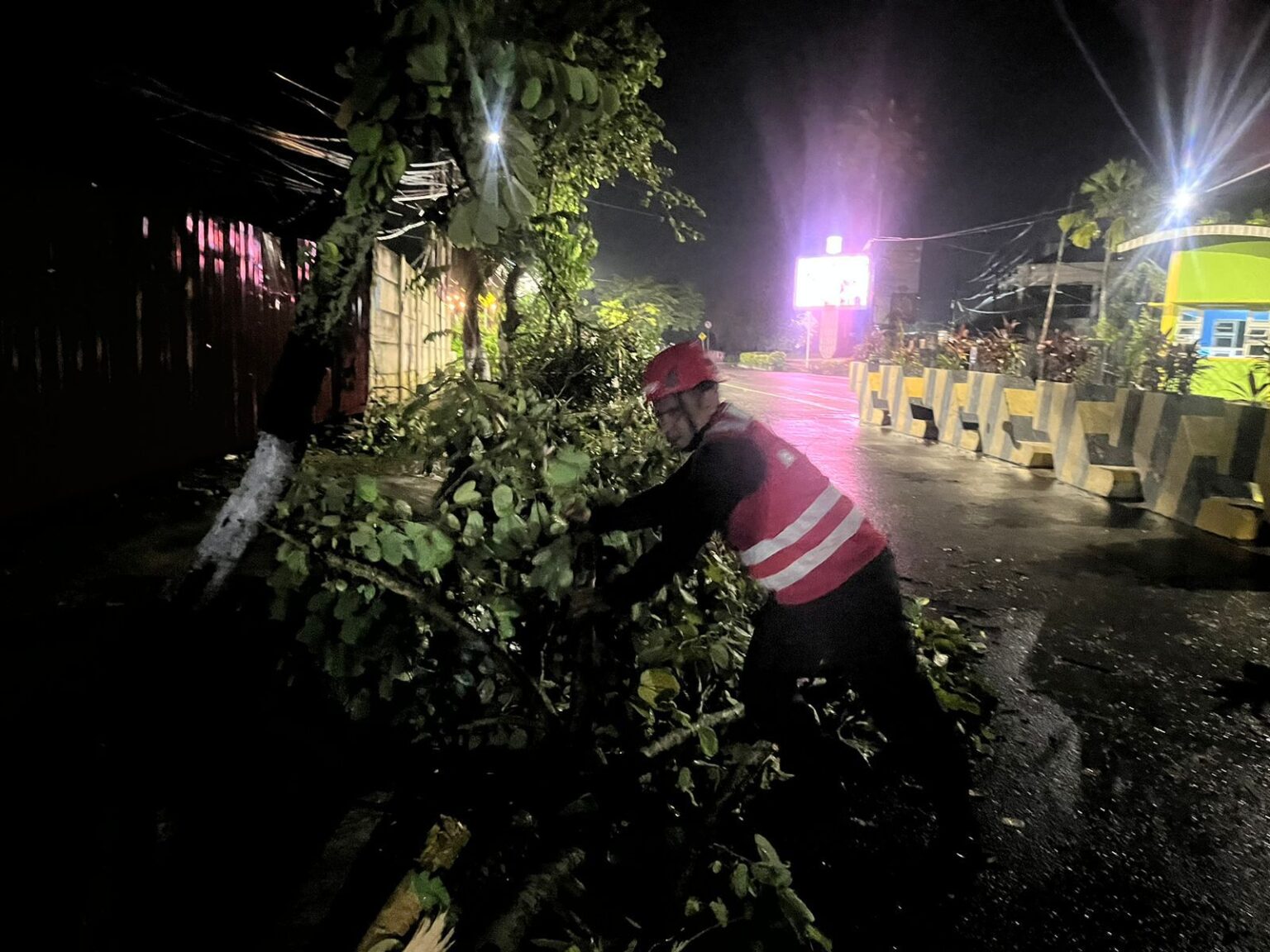 TUMBANG: Pohon besar di Balikpapan tumbang dan menutup jalan saat hujan deras disertai angin kencang Senin (19/1/2026) malam.
