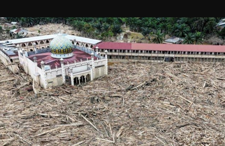 Ribuan kubik kayu log ikut terlihat saat banjir bandang melanda Sumatera Barat, Aceh dan Sumatera Utara.