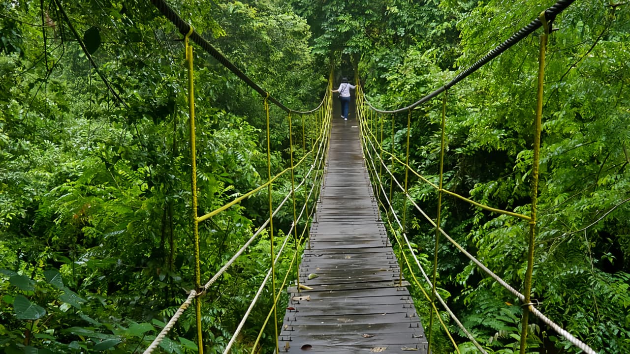 Keberadaan satwa endemik Kalimantan yang masih hidup di habitat alaminya menjadi salah satu faktor utama yang mendorong kunjungan wisatawan asing ke TNK.