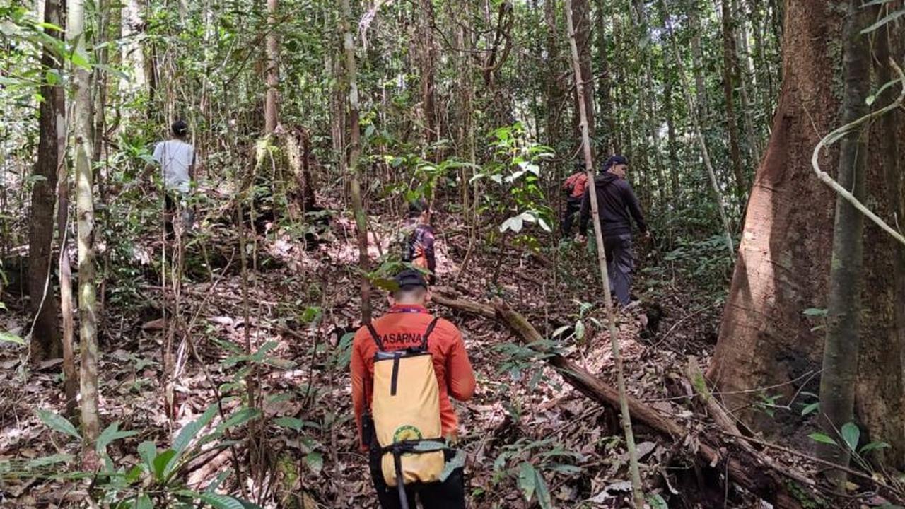 PENCARIAN: Tim Basarnas Palangka Raya sedang mencari nenek yang hilang di hutan.